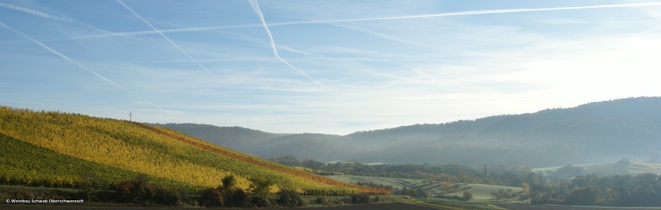 Winzerhof Schwab Oberschwarzach Herbst