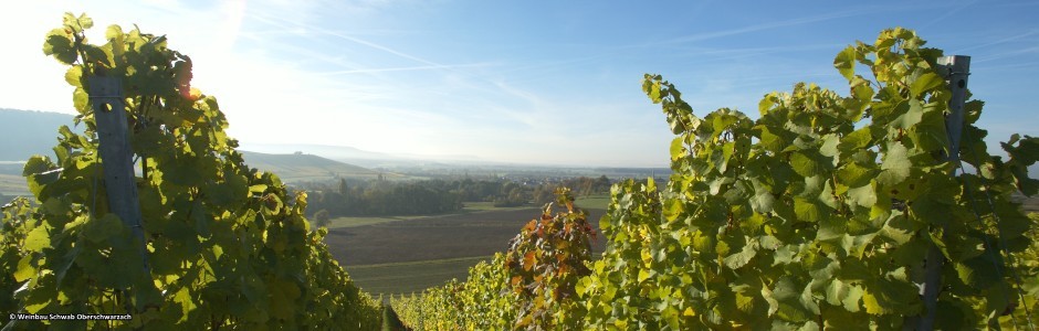 Winzerhof Schwab Oberschwarzach Herbst