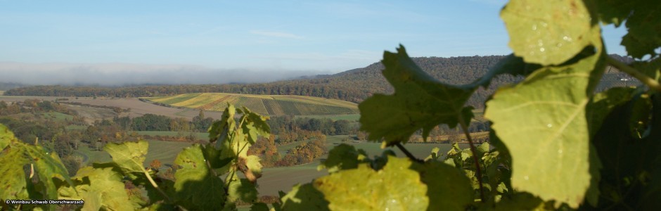 Winzerhof Schwab Oberschwarzach Herbst